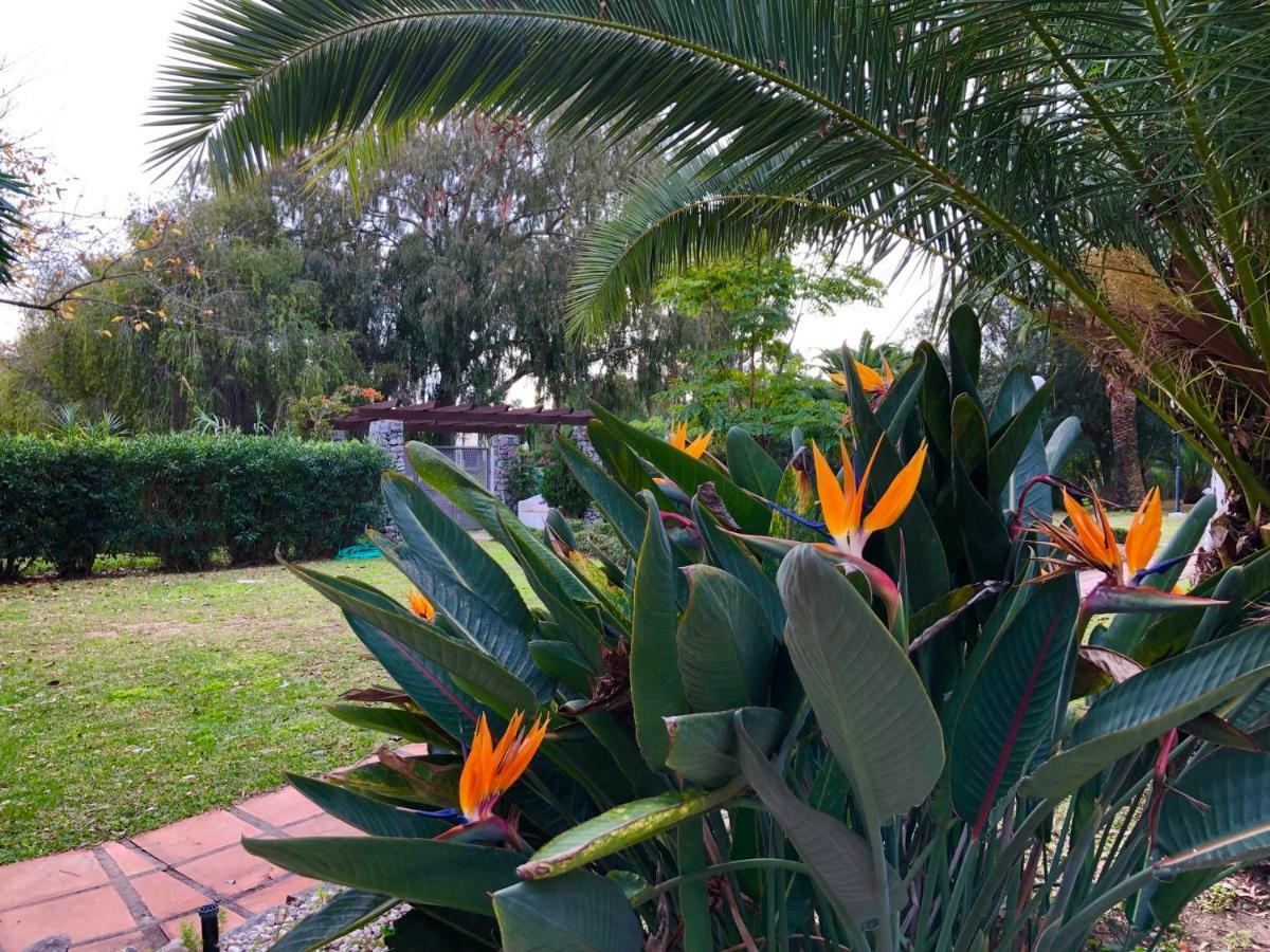 מארבלה Puerto Banus Apartamento Flores מראה חיצוני תמונה